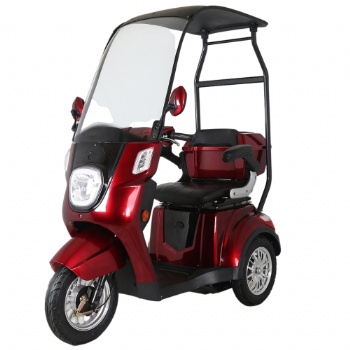 Nice Shape Three Wheel Electric Golf Mobility Scooter with Roof Cover