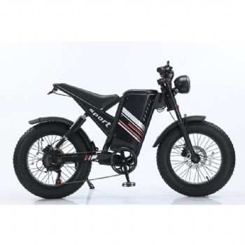 20 Inch 500w Full Suspension Fatbike Electric Assist Mountain E Bike (EB-003)