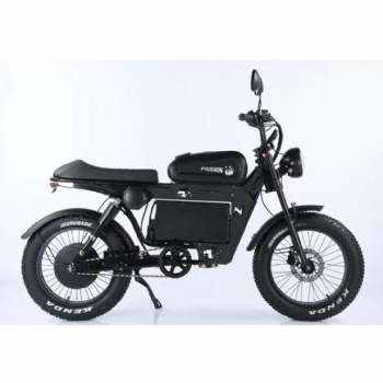 3000W Sport 20inch Steel Frame Adult Multifunction 48V 15/25/35ah Lithium Battery Electric Bike/electric Fat Tire Bike (EB-004)