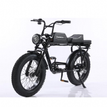 20-Inch Fat Tire Electric Motorcycle with 400W Hub Motor and 48V 13AH/18AH/25AH/32AH Lithium Battery Hydraulic Disc Brakes for City Commute (EB-008)