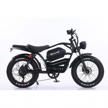 China Aok Original Fat Tire Bike Fat Tire Electric Bike 20inches 500W Ebike Fat Tire Electric Bicycle (EB-010))