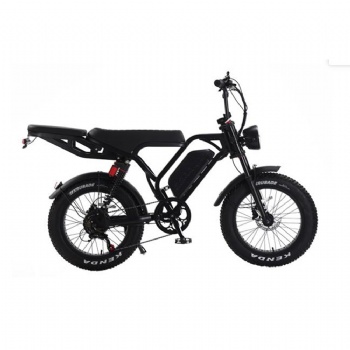 Hot Selling China Aok Fatbike BIKE Electric 20 Inch Fat Tire Delivery E Bike Mountain EBike Electr City Bicycle (EB-013)