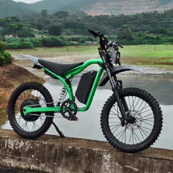 China A-ok New Style Long Range Adult Off-road Full Suspension Electric Assist Fat Tire Mountain Bike (EB-015)