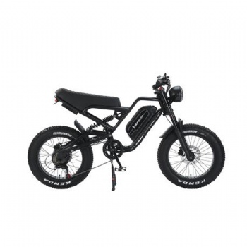 New Style Hot Selling Aok Fatbike BIKE Electric 20 Inch Fat Tire Delivery E Bike Mountain EBike Electr City Bicycle (EB-012)