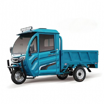 Chink A-ok Hot Sale High Strong Power Strong Loading Capacity Electric Cargo Trike with Closed Driving room (CT-008)