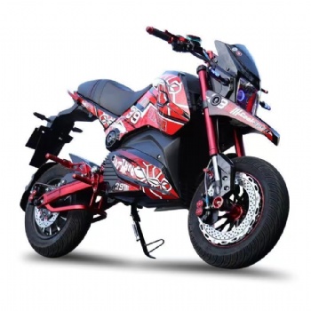 Big Motor Two Wheel Adult Electric Racing Motorcycle (EM-030)