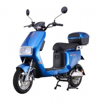 1000W Electric Motorcycle with disc brake (EM-011)